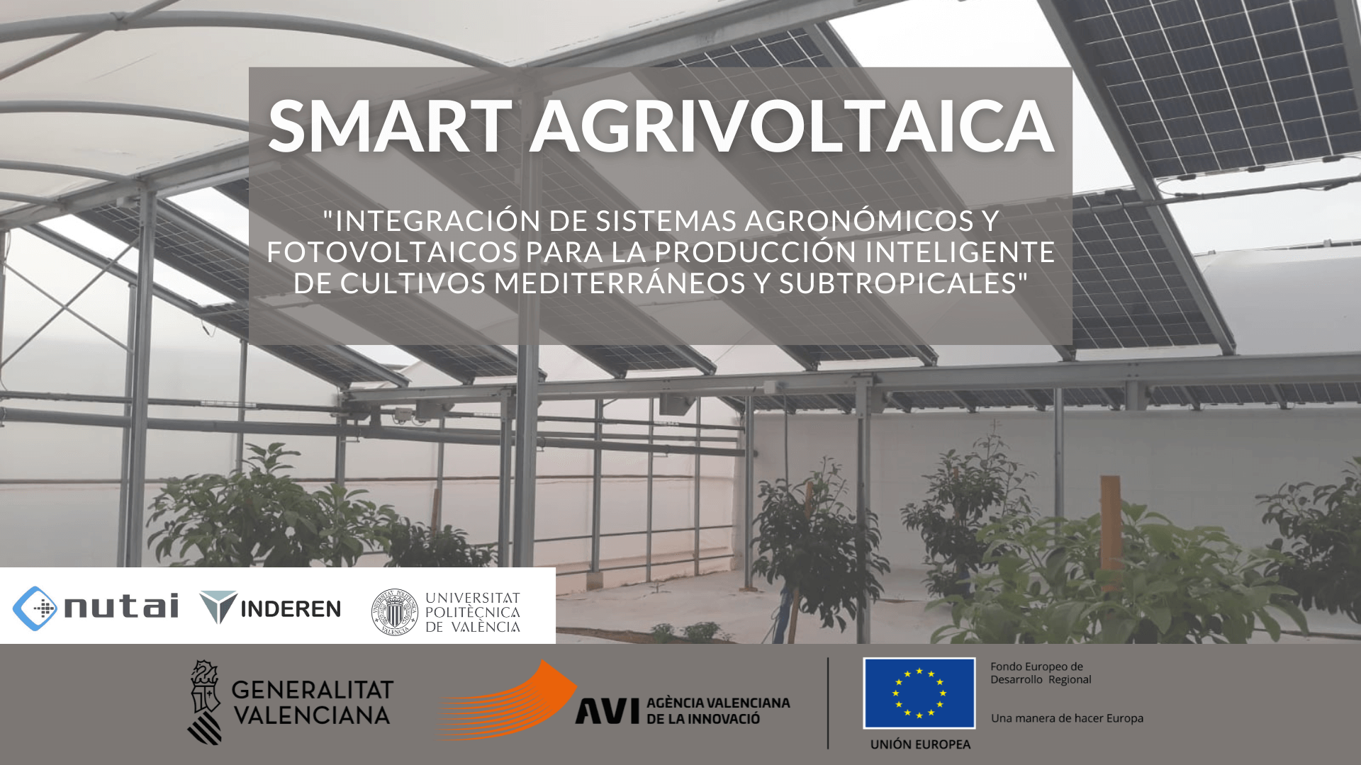Desarrollos y avances en el proyecto SMART AGRIVOLTAICA