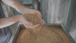 Diseno sin titulo 11