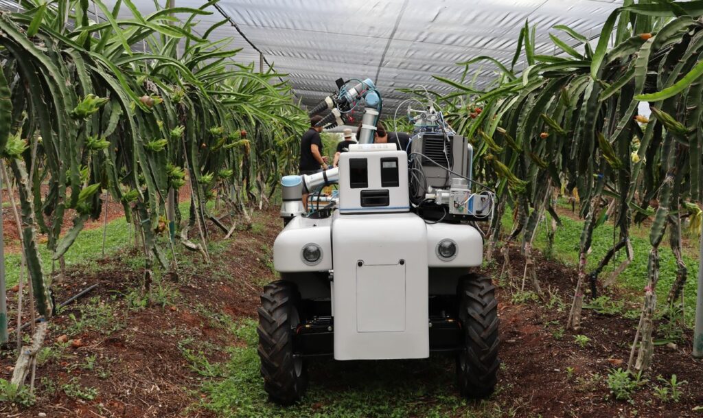 Demostración del sistema de recolección inteligente de pitaya DRAGONBOT