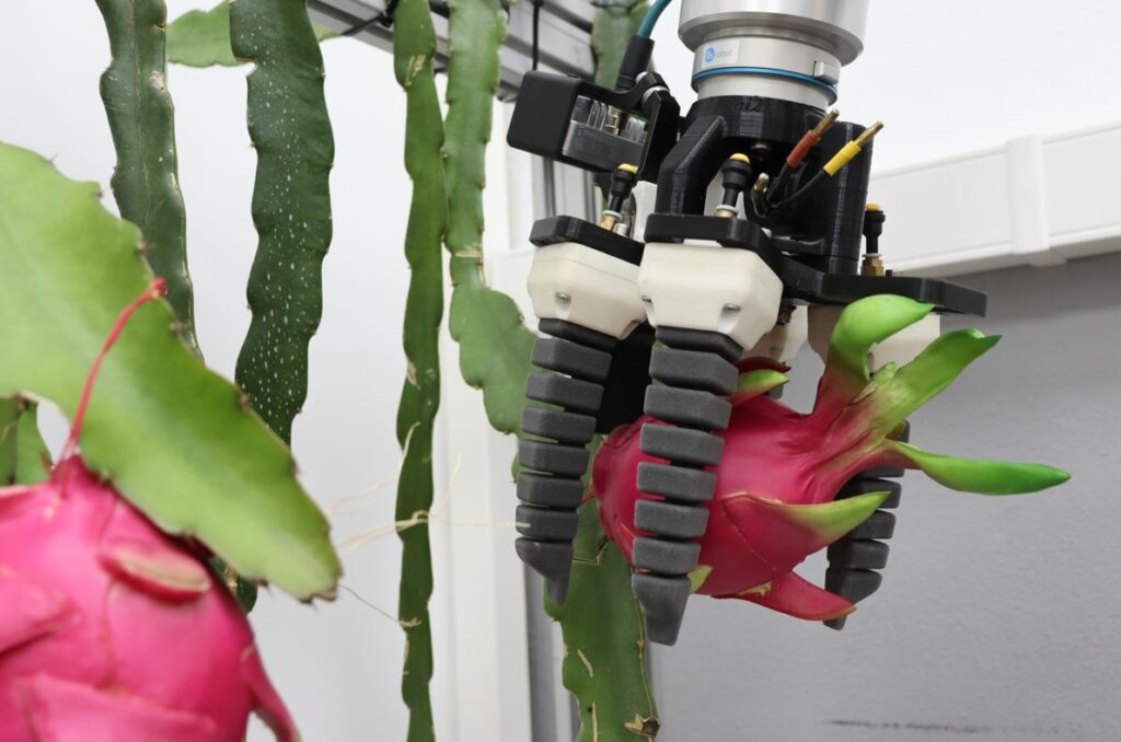 Avances del Proyecto DRAGONBOT: Hacia la Recolección Automatizada de Pitayas