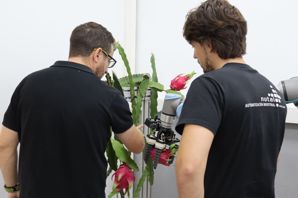 Avances del Proyecto DRAGONBOT: Hacia la Recolección Automatizada de Pitayas 2 Dragonbot 4