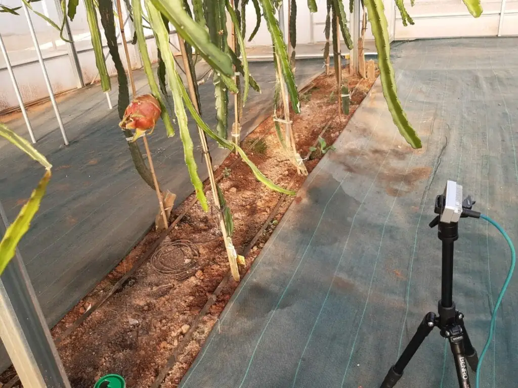 Avance en la Agricultura Sostenible: Pruebas del Proyecto Dragonbot en Marcha 1 Imagen de WhatsApp 2024 08 08 a las 09.09.27 4b5785bd 1024x768 min
