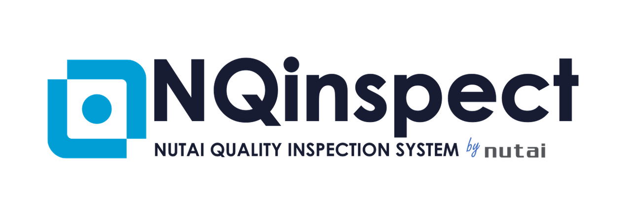 nqInspect 1 logo nqinspect