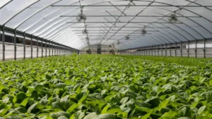 smart agri